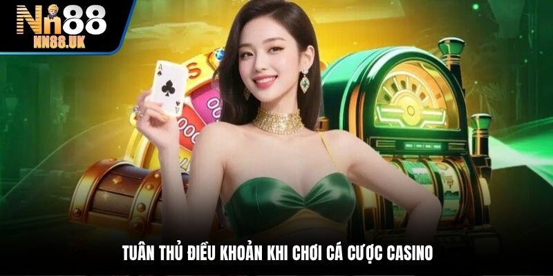 Tuân thủ điều khoản khi chơi cá cược casino